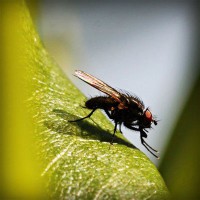 /album/unolwesli/photolia-a04-jpg/