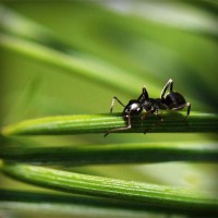 /album/unolwesli/photolia-a05-jpg/