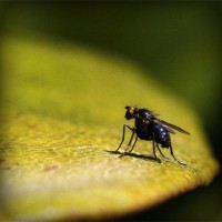/album/unolwesli/photolia-a07-jpg/