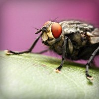/album/unolwesli/photolia-a08-jpg/